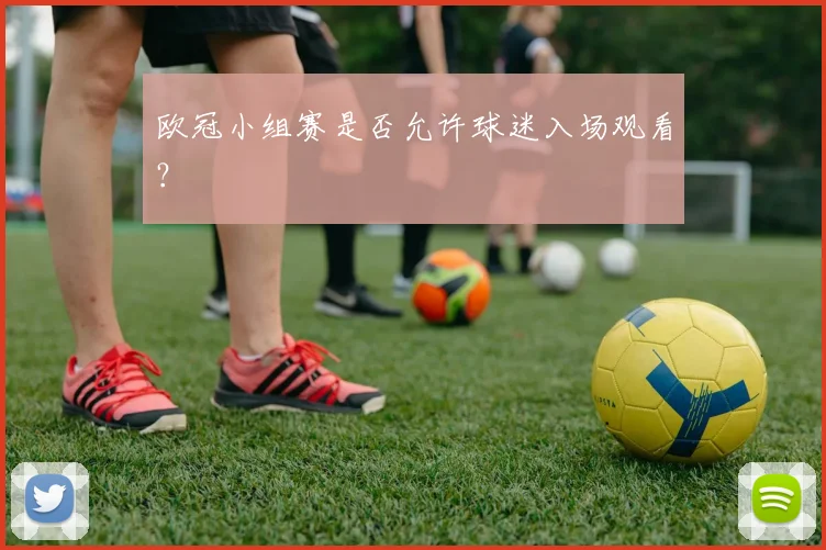 欧冠小组赛是否允许球迷入场观看？