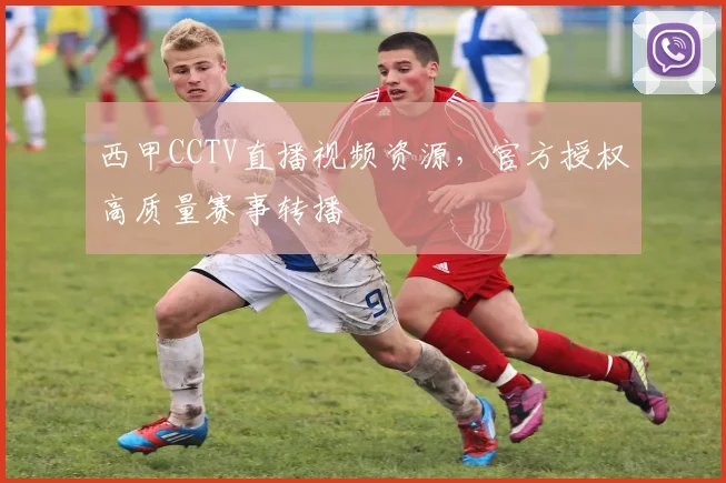 西甲CCTV直播视频资源,官方授权高质量赛事转播