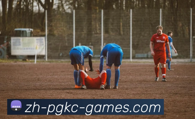 PG电子官方网站平台生态图